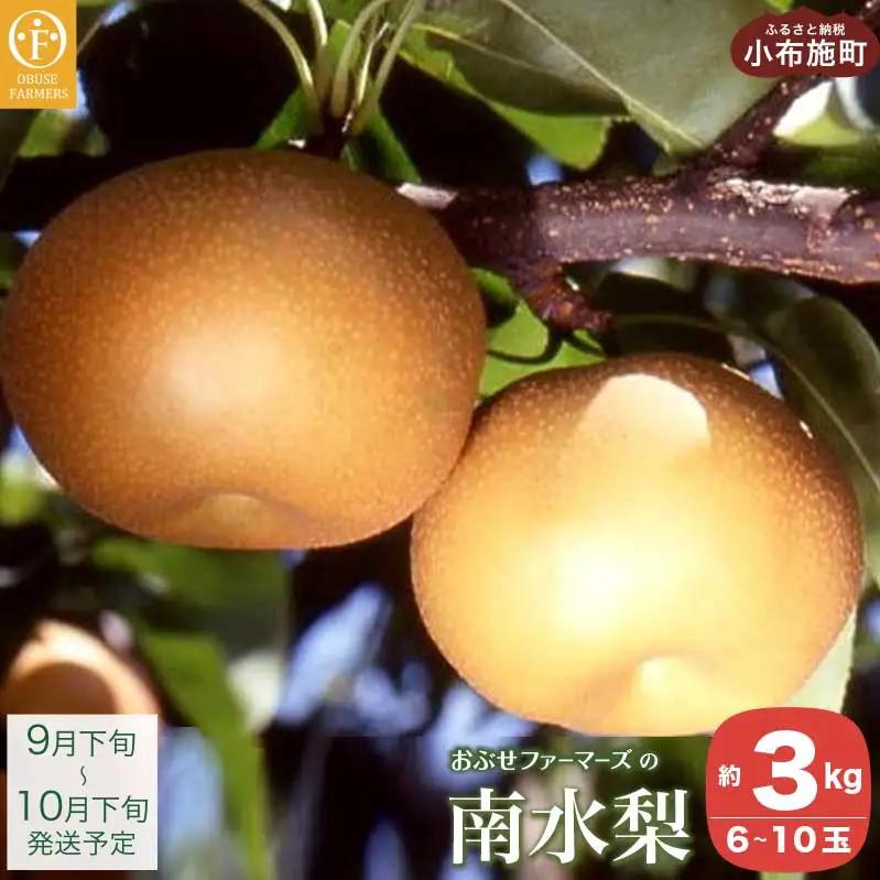 南水 秀品 約3kg 6～10玉 [おぶせファーマーズ]   令和8年産 【2026年9月下旬～10月下旬発送】［F-31］
