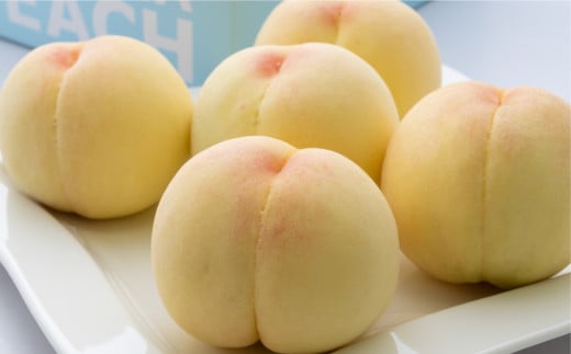 ご家庭用 岡山白桃 4～5玉 計1.2kg 【2025年6月下旬～7月下旬発送予定】 白桃 桃 もも モモ
