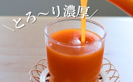 【3か月定期便】信州 千曲のあんずネクター ジュース  720ml 6本セット｜ ジュース 長野県産 千曲市