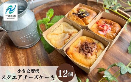 小さな贅沢！スクエアチーズケーキ12個セット【ジェーケーワンフーヅ株式会社】