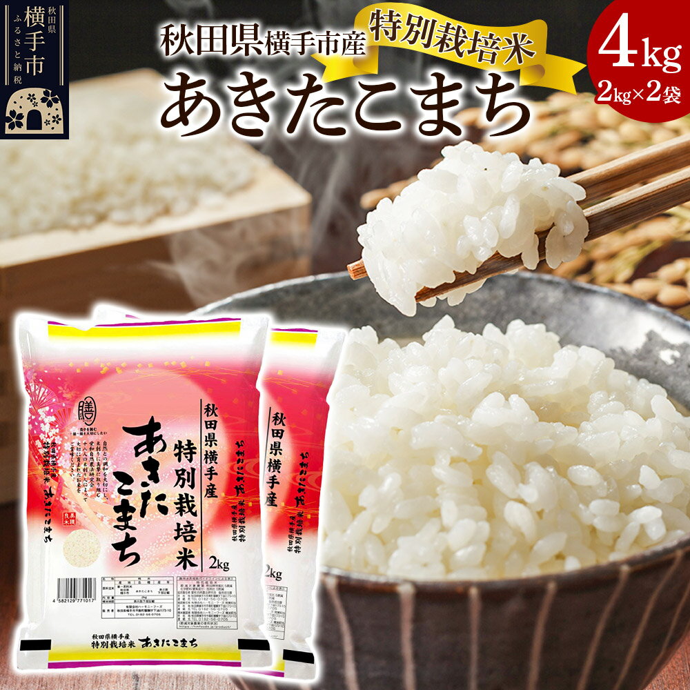 【ふるさと納税】【白米】特別栽培米あきたこまち 4kg（2kg×2袋）