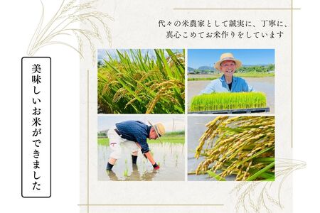【令和7年産】福岡県飯塚市産 夢つくし 10kg(精米)【D2-012】