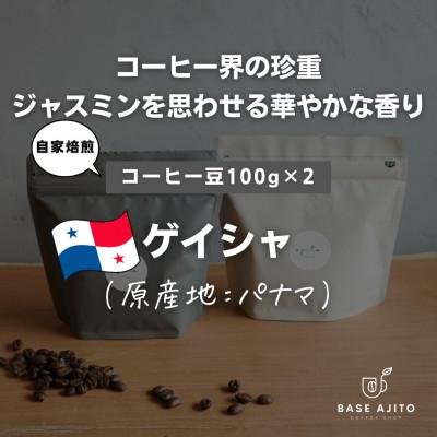 ふるさと納税 丹波篠山市 パナマ ゲイシャ(世界最高峰エスメラルダ農園産)　100g×2(豆)