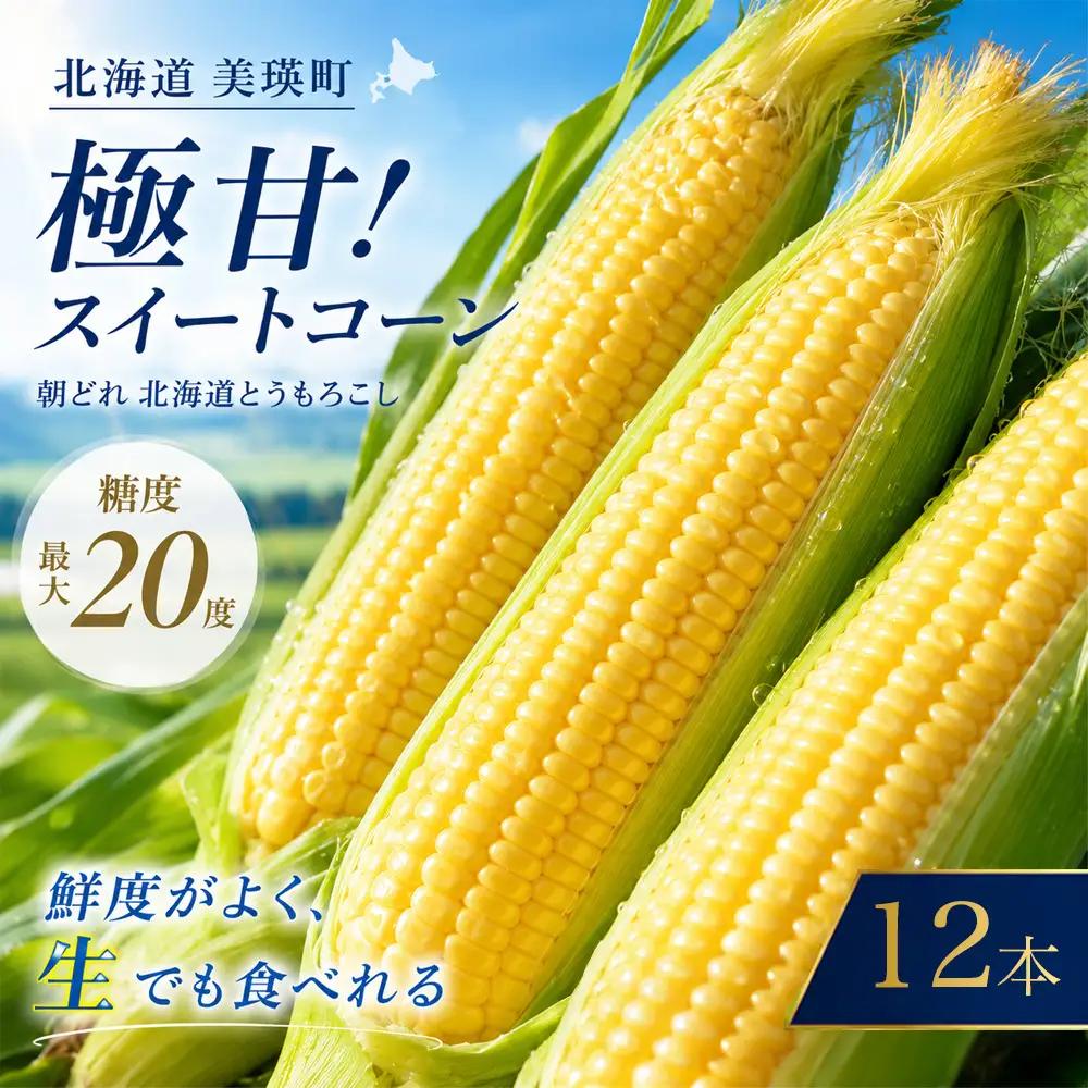 とうもろこし 12本【先行予約】 とうもろこし 黄