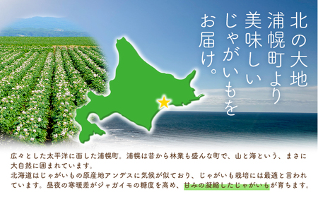 インカのめざめ 5kg じゃがいも 飯山農場《9月中旬-3月上旬頃出荷》芋 ジャガイモ 野菜 送料無料 北海道 浦幌町 
