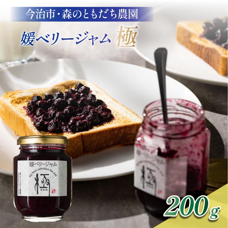 【ふるさと納税】＼ホテルで提供／最高級 ブルーベリー ジャム 媛ベリージャム 「極」 200g 国産 無添加 オーガニック 甘い マーマレード 朝食 パン 愛媛県今治産 ジャム 果肉 【VB00160】
