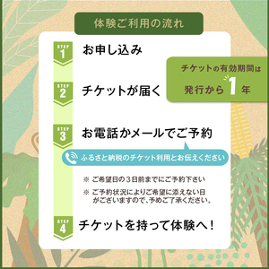 S174-001_化石ディグ利用券(1名様)