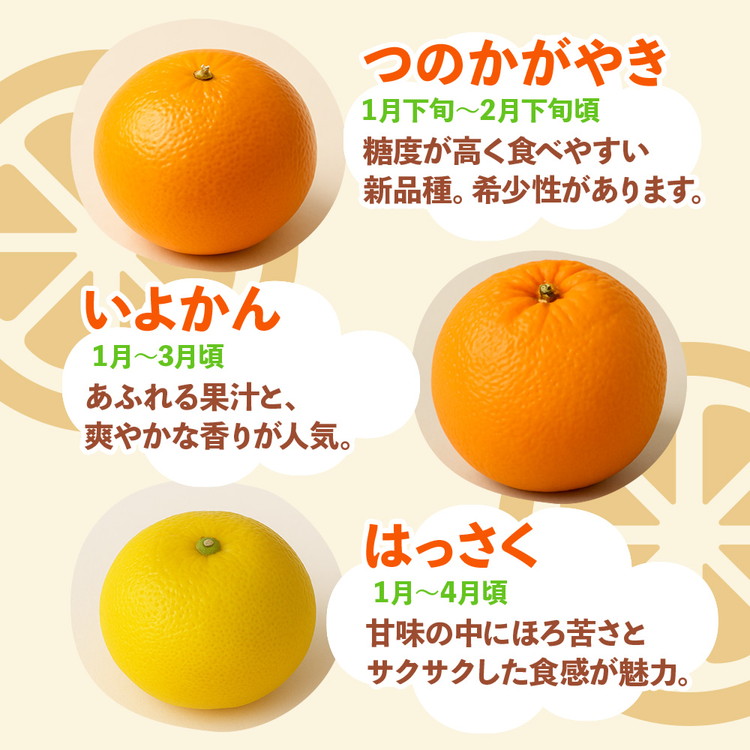 ＜1月より発送＞家庭用 柑橘詰合せ1kg+250g（傷み補償分）◇【訳あり・わけあり】【有田の春みかん詰め合わせ・フルーツ詰め合せ・オレンジつめあわせ】【光センサー選別】 ※北海道・沖縄・離島への配送