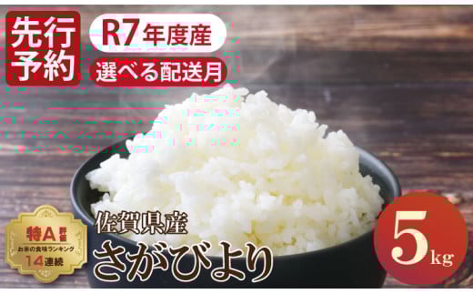 【1月出荷】先行予約 佐賀ブランド米「さがびより」5kg（5kg×1）潮風F