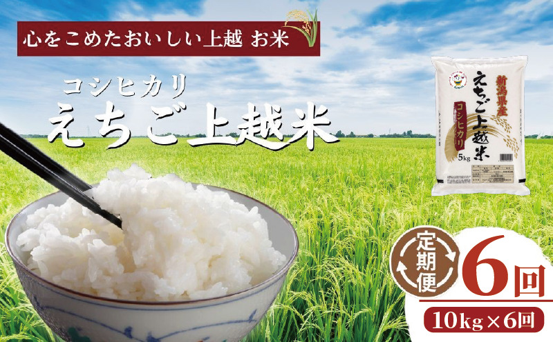 令和7年  新潟県産コシヒカリ えちご上越米　定期便 【6ヶ月連続お届け】10kg×6回 60kg 新潟 米 新潟県 こしひかり 限定 おすすめ