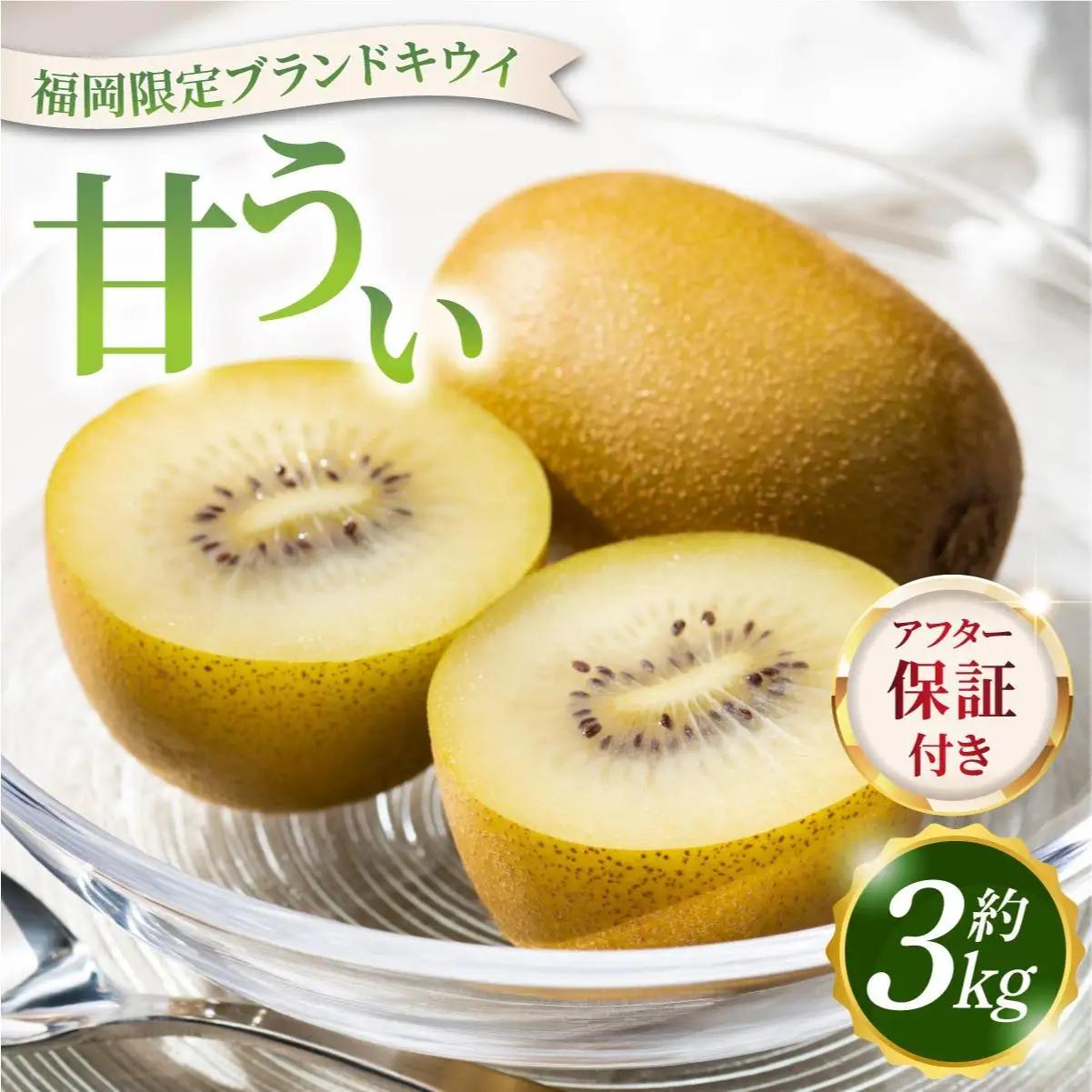 寄附額改定↓【先行予約】希少 キウイ 甘うぃ 約3kg（2026年11月以降発送）