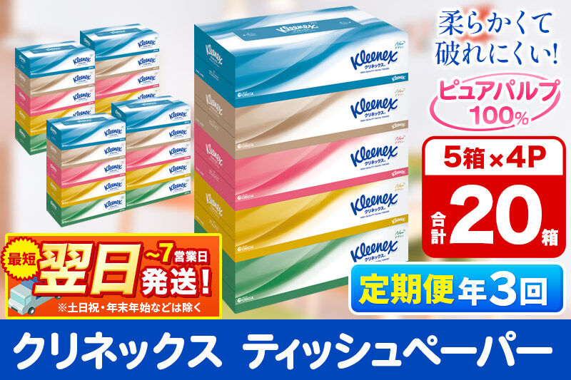《4ヶ月ごとに3回お届け》定期便 ティッシュ クリネックス 20箱 5箱×4パック 秋田市オリジナル 最短翌日発送 [クリネックス ティッシュ ボックスティッシュ 日本製紙クレシア 定期便]