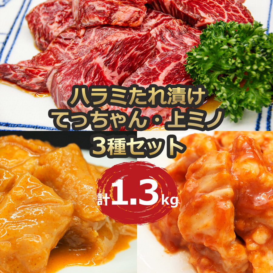 【ふるさと納税】ハラミ たれ漬け てっちゃん 上ミノ 3種セット 1.3kg [2175]