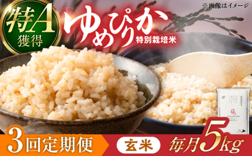 【令和8年産】【新米】【3回定期便】農家直送！特別栽培米ゆめぴりか【玄米】5kg 特A 北海道 米 お米 こめ JGAP認証農場 | 株式会社きしもとファーム [BOBB048]