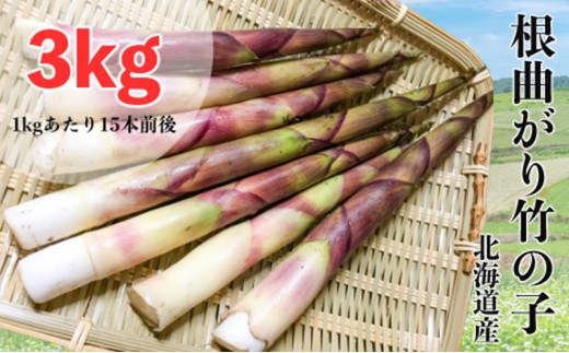 
                  たけのこ 根曲がり竹の子 3kg 1kgあたり15本程度 山菜直売店中野渡 北海道産 竹の子 タケノコ 野菜 山菜 新鮮 焼いて 味噌汁 春の恵み 調理 冷蔵配送 北海道 芦別市
                