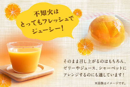 森田果樹園の不知火 5kg《2月中旬-4月下旬頃出荷》森田果樹園 果物 フルーツ 柑橘 熊本