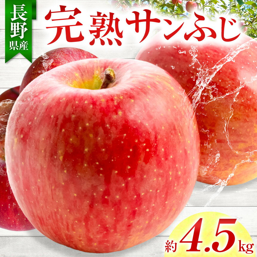 【ふるさと納税】 りんご 完熟 サンふじ 約4.5kg （りんご・リンゴ・林檎） 白鳥フルーツ農園 ｜ りんご 林檎 完熟 果物 フルーツ 伊那市 長野県 信州 甘い サンふじ【011-08】