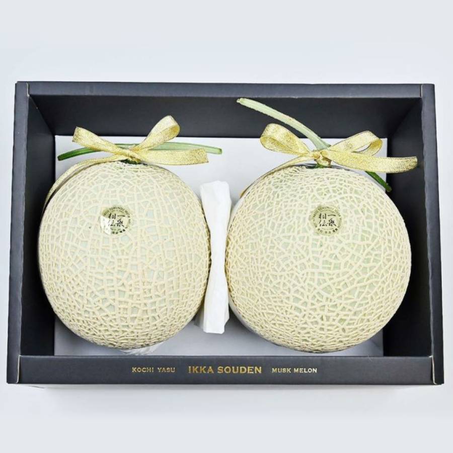 <一果相伝>上級品 マスクメロン2玉(2.8kg以上)