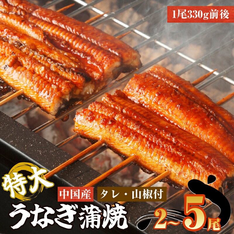【ふるさと納税】うなぎ蒲焼 選べる 2尾 3尾 5尾 中国産　丑の日 タレ 山椒付 特大 鰻 ウナギ 蒲焼き ギフト 正月 うな丼 鰻丼 うな重 鰻重 ひつまぶし お中元 不揃い 小分け　楽天限定
