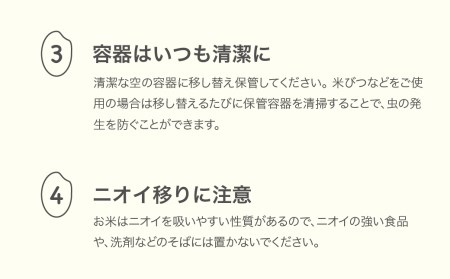 【先行予約】新米 米 20kg 5kg×4 雪若丸 精米 令和7年産 2025年産 山形県村山市産 ※沖縄・離島への配送不可 ja-ywxxa20