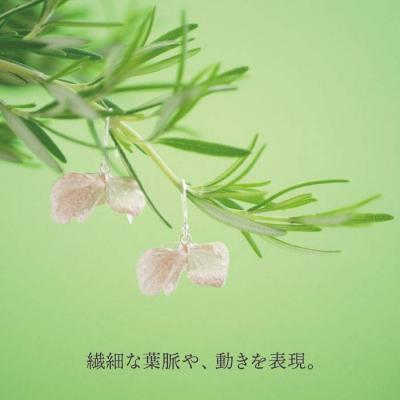 ふるさと納税 糸島市 植物をモチーフにしたピアス(立体)【Chloroplast/クロロプラスト】[ALF003] |  | 01