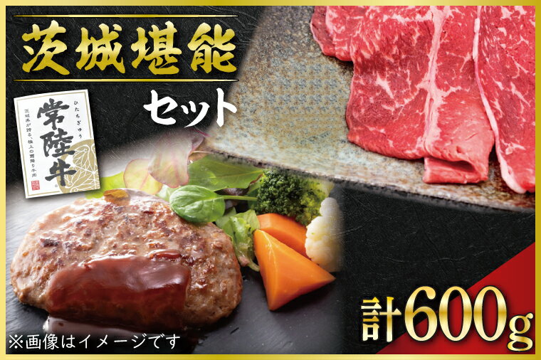 【ふるさと納税】茨城堪能セット＜常陸牛スライスと冷凍生ハンバーグ・タレセット＞（CT-3）