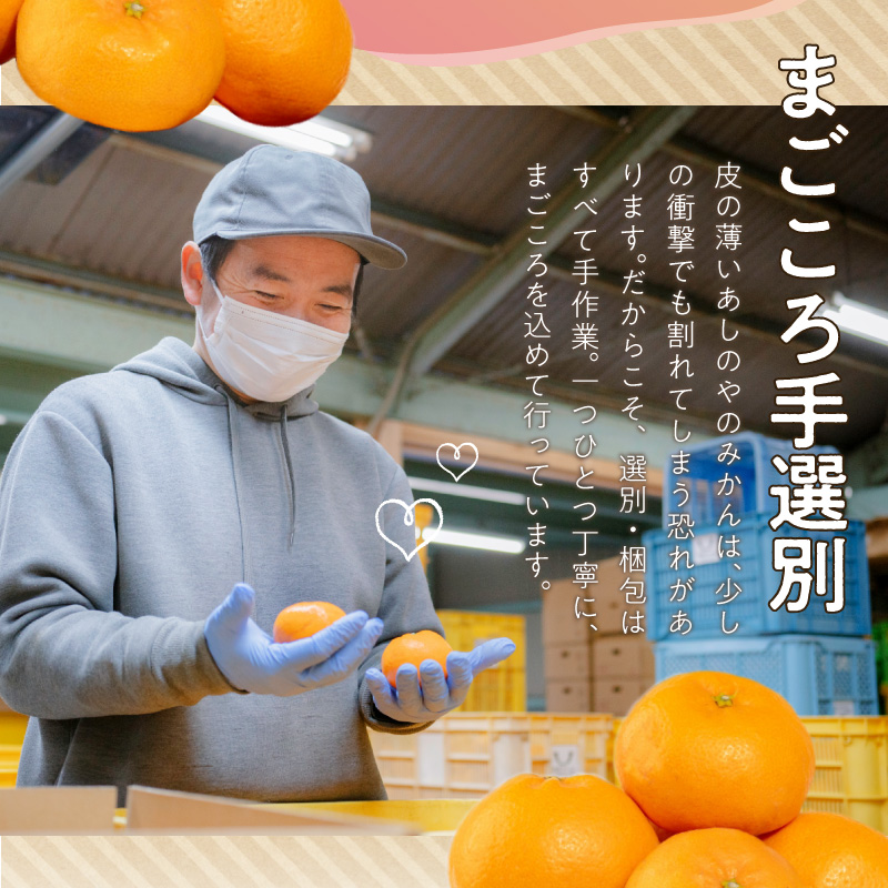 【2026年先行予約】【秀品】和歌山県産　有田みかん 約3kg （S～Ｌサイズ混合）【まごころ手選別】_ZE6483