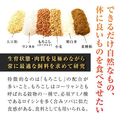 ふるさと納税 鹿児島市 鹿児島うんまか豚生餃子4パック(餃子48個入り・タレ付)　K005-003_01 |  | 02