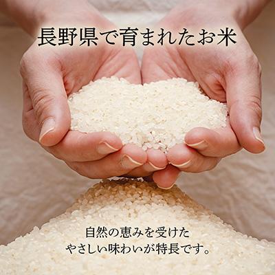 ふるさと納税 飯島町 長野県産 越百黄金米(精米)5kg |  | 01