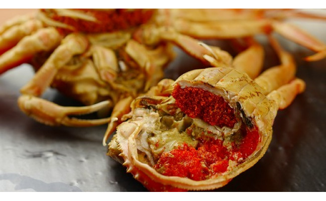 【蟹の匠 魚政】内子外子が美味! 茹でたて セイコガニ（セコ蟹）（香箱ガニ）（こっぺ）小サイズ 10匹セット