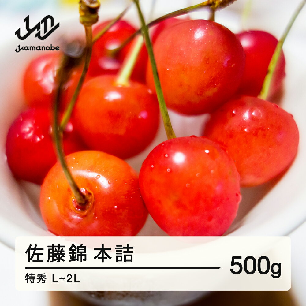 【ふるさと納税】 《先行予約》贈答用 2026年産 山形県産 さくらんぼ 佐藤錦 500g 本詰 特秀 L〜2L 2026年6月上旬頃から順次発送 送料無料 F20A-022