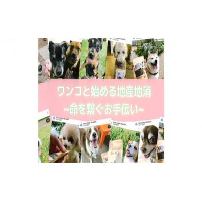 ふるさと納税 飯能市 ワンコのおやつジビエ「天然無添加鹿ジャーキー たっぷり4種セット」[52210646] |  | 02
