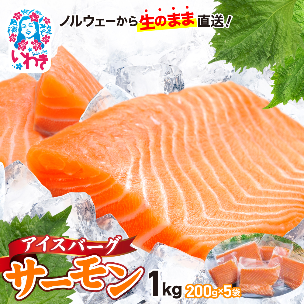 アイスバーグサーモン(アトランティックサーモン) 約1kg(約200g×5袋) | サーモン ふるさと納税 サケ さけ しゃけ 刺し身 お刺身 個包装 魚介類 寿司 | 約1kg（約200g×5袋）　ノルウェーから生のまま直送！