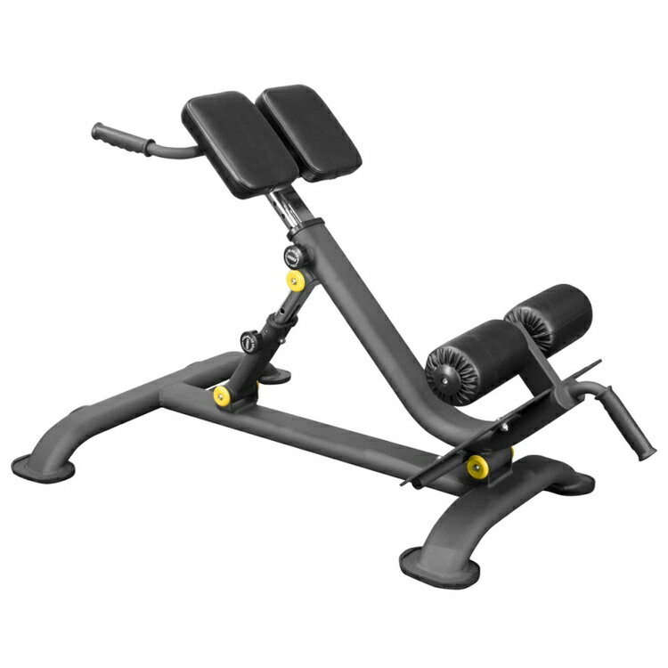 【ふるさと納税】ALBATROSS SYL16013 ハイパーエクステンション ｜トレーニング フィットネス 器具 筋トレ スポーツ 運動 ダイエット ※北海道・沖縄・離島への配送不可
