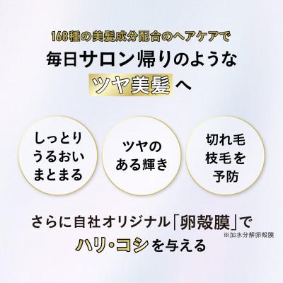 ふるさと納税 一関市 「カミレア」ツヤ美髪に導くシャンプートリートメントセット |  | 01