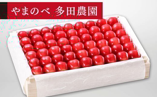 
            ≪2026年 先行予約≫さくらんぼ 特選ダイアナブライト 桐箱詰 1100g「やまのべ多田農園」 F2Y-1401
          