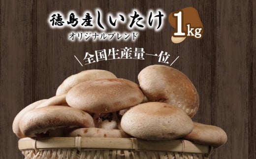 
しいたけ 1kg 冷蔵 国産 徳島県 全国生産量1位 椎茸 しいたけ きのこ 肉厚 濃厚 家庭用 おかず
