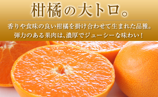 ＜2027年発送＞宮崎県産 せとか 約3kg （8～12玉入）