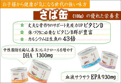 缶詰工場直送　伝統のさば缶「旬ほとぎ」醤油煮24缶【C3-024】