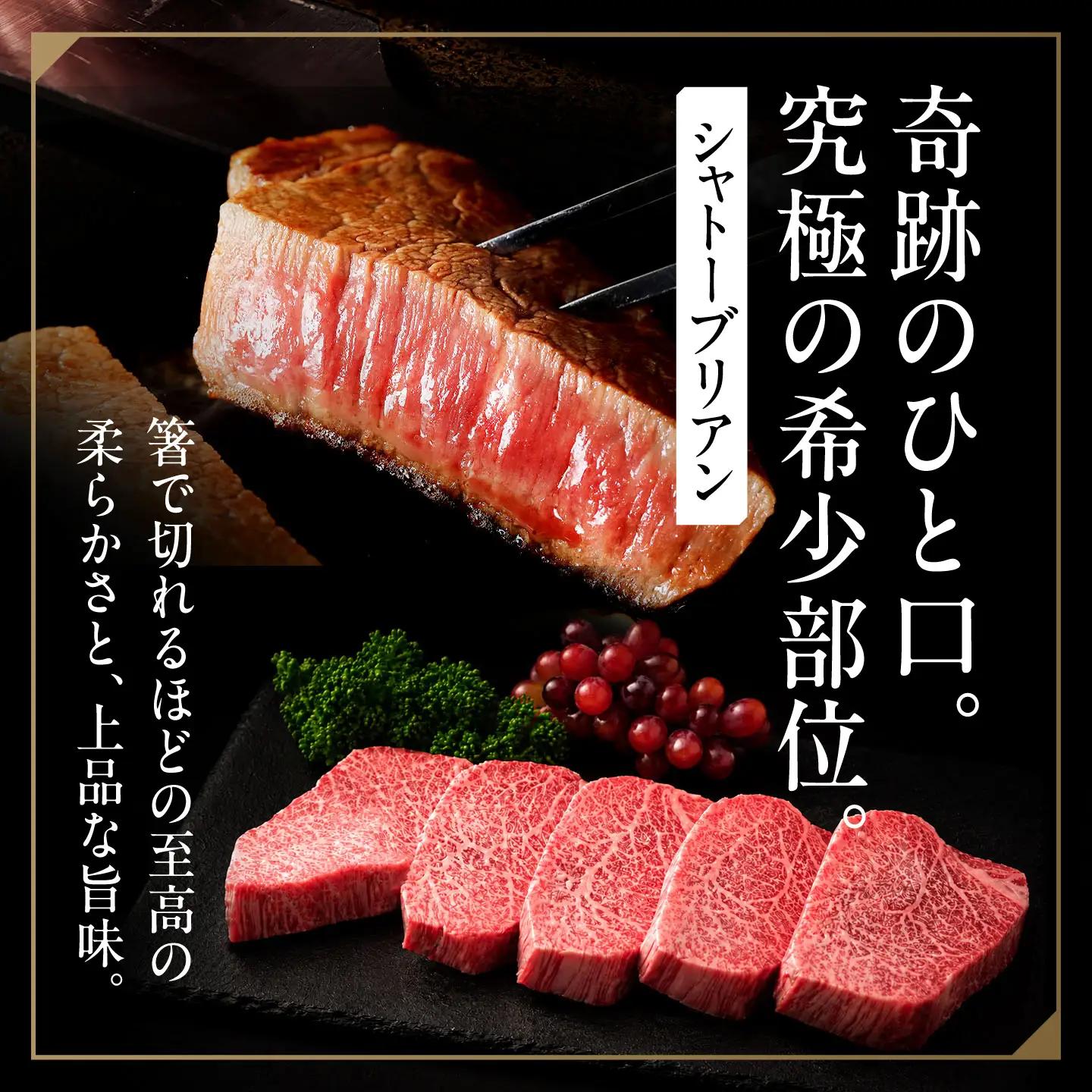 シャトー 牛肉 シャトーブリアンステーキ 200g×5  佐賀牛 FDP005 