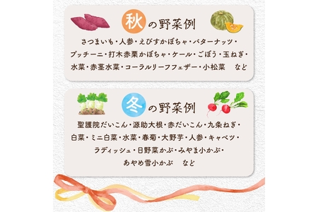 【年4回定期便】春夏秋冬自然栽培野菜セット(年4回)2～3人用