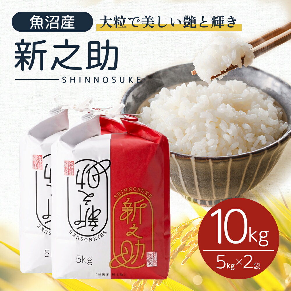 【ふるさと納税】令和6年産 魚沼産 新之助 10kg(5kg×2袋) お米 米 コメ 　お届け：寄附確認後、10月下旬から発送いたします。