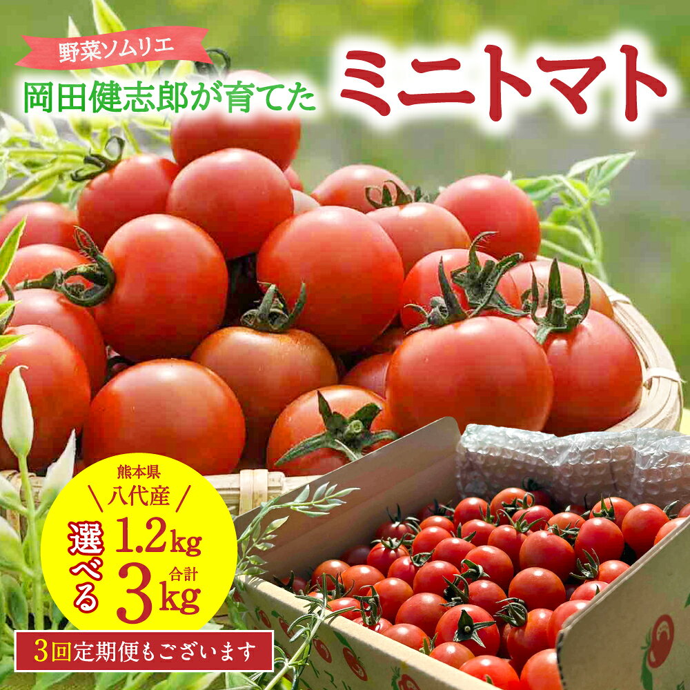 【ふるさと納税】 令和8年熊本地震復興支援 【先行予約】 野菜ソムリエ 岡田健志郎が育てた ミニトマト 1.2kg～3kg 【選べる内容量・配送回数】 トマト とまと 新鮮 サラダ 野菜 やさい 特産品 熊本県 八代市 送料無料 【2026年12月上旬より順次発送】