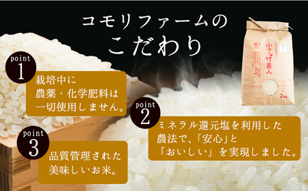 【12ヶ月定期便】令和5年産 小さな竹美人 7分づき 米 4kg(2kg×2袋) 株式会社コモリファーム《お申込み月の翌月から出荷開始》