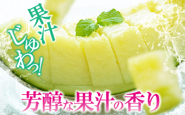 【先行予約】【2026年6月中旬から順次発送】　メロン タカミ 2から3玉 愛媛県大洲市/梶原農園 メロン [AGCX004]