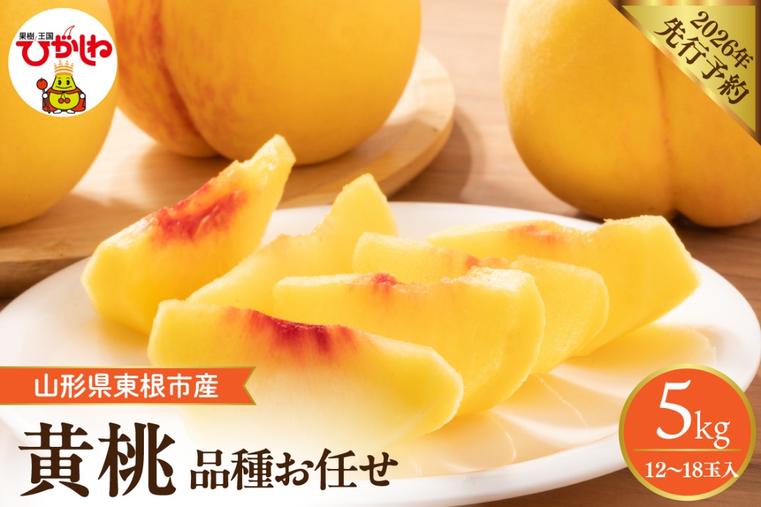 【2026年産先行予約】　採れたて黄桃(品種お任せ) 約5kg (12～18玉)晴天畑提供 山形県 東根市 hi026-058