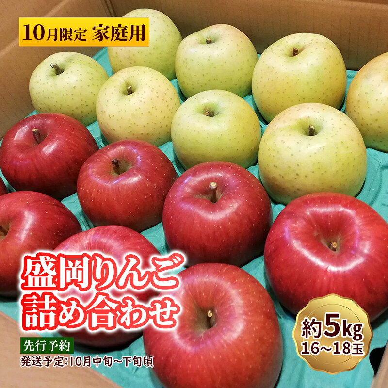 【ふるさと納税】 \シャキッと冷蔵発送/ 訳あり 盛岡りんご りんご 5kg 16〜18個 家庭用 10月限定 お楽しみ おまかせ 箱 詰め合わせ フルーツ 果物 林檎 リンゴ 国産 産地直送 くだもの お取り寄せ 岩手県 盛岡市 東北 岩手 盛岡 下久保農園