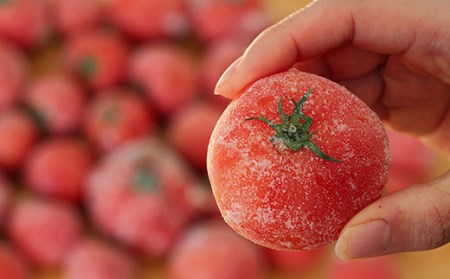 【訳あり】冷凍トマト・お試し30個／約1.5kg 冷凍で皮むき簡単。保存がきく！