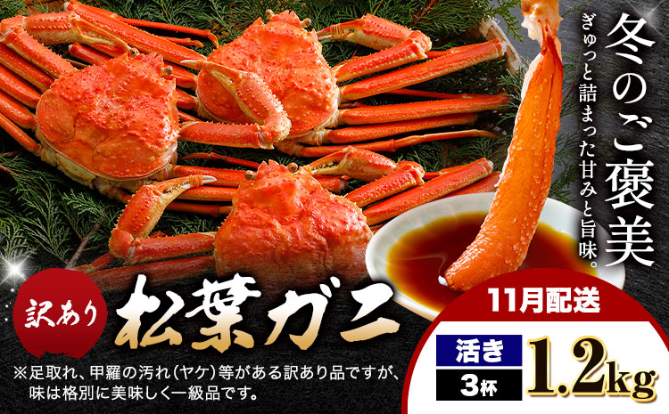 【ふるさと納税】カニ 松葉ガニ 訳あり 400g 活き 3杯《11月発送》 SOO合同会社 鳥取県 八頭町 送料無料  蟹 かに 姿 鍋 ズワイガニ  ズワイ蟹 ボイル 松葉ガニ 訳アリ