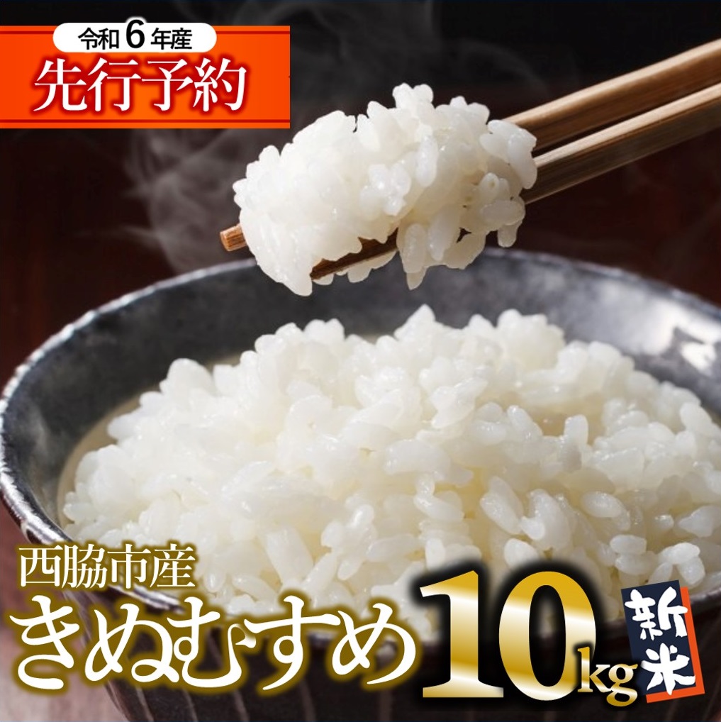 【先行予約】【きぬむすめ】令和６年産 新米 白米10kg（10kg×1袋）【9月末以降順次発送】(17-50)